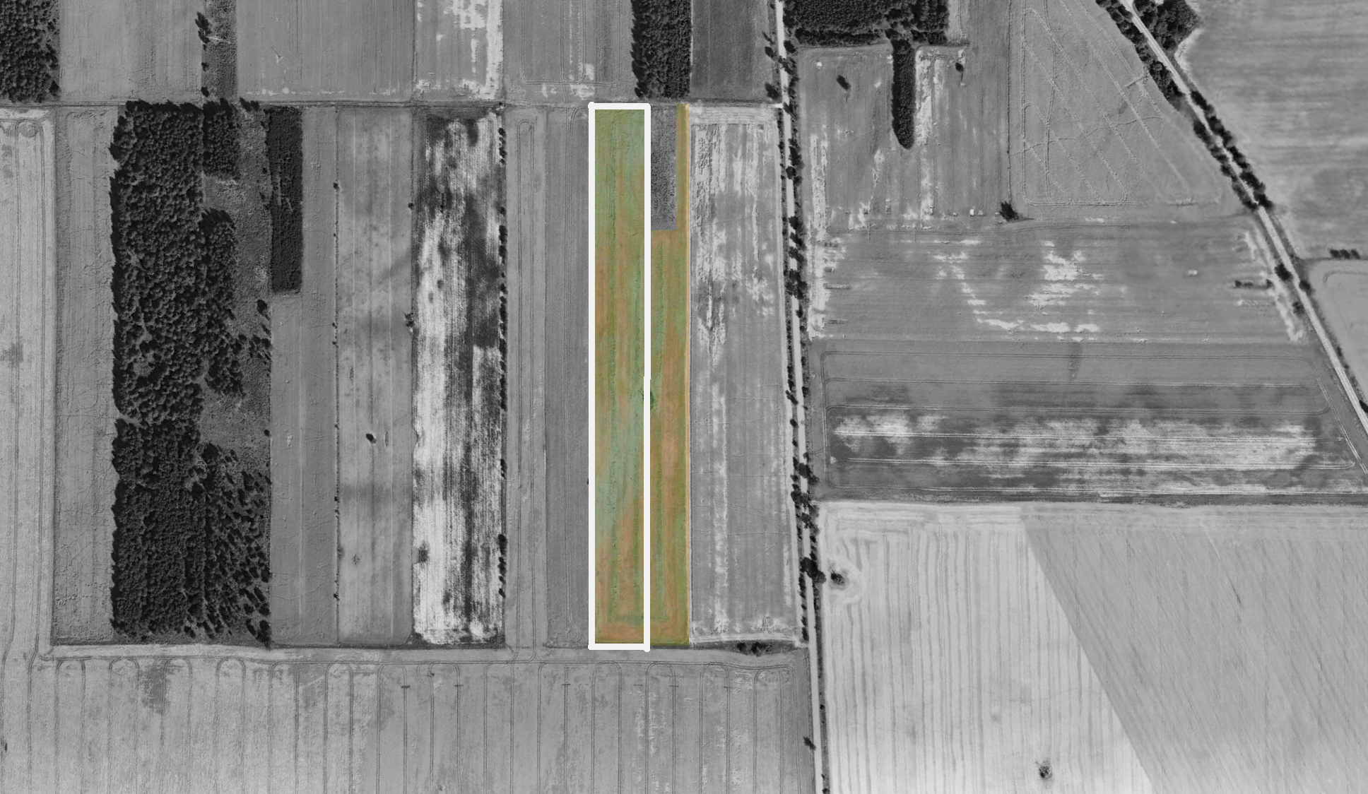 Detailed map view of Szudziałowo, for better location understanding.